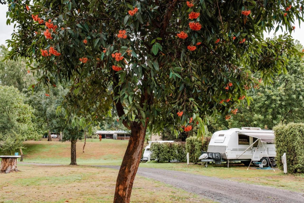 Big4 Breeze Holiday Parks - Eildon Kültér fotó